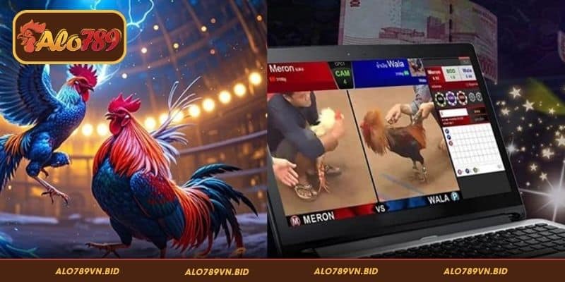 Giới thiệu vài nét về stream 4K